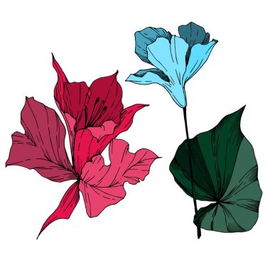 Vektör Tropikal çiçekler ve izole yaprakları. Siyah ve beyaz oyulmuş mürekkep sanatı. İzole bitki illüstrasyon elemanı.