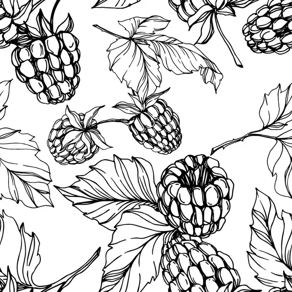 Vector Raspberry alimentos saludables aislados. Tinta grabada en blanco y negro. Patrón de fondo sin costuras . — Vector de stock