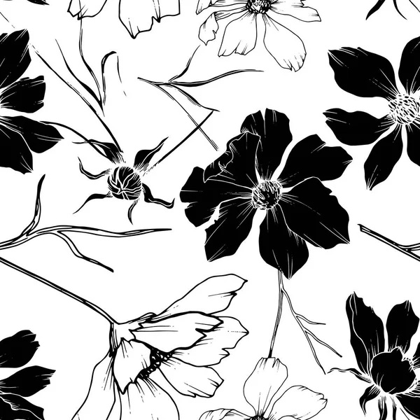벡터 코스모스 꽃 식물 꽃입니다. 흑백 잉크 아트가 새겨져 있습니다. 원활한 배경 패턴. — 스톡 벡터