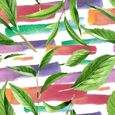 Yeşil çay yaprakları. Suluboya arka plan illüstrasyon seti. Kesintisiz arka plan deseni.
