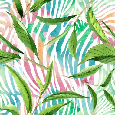 Yeşil çay yaprakları. Suluboya arka plan illüstrasyon seti. Kesintisiz arka plan deseni.