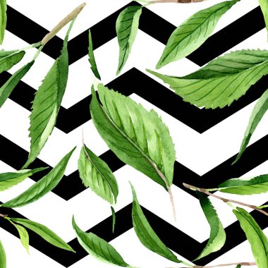 Yeşil çay yaprakları. Suluboya arka plan illüstrasyon seti. Kesintisiz arka plan deseni.