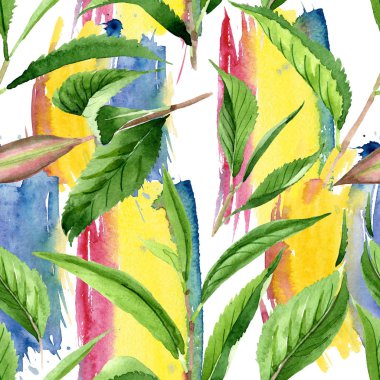 Yeşil çay yaprakları. Suluboya arka plan illüstrasyon seti. Kesintisiz arka plan deseni.