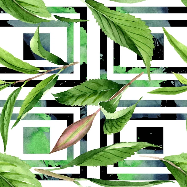 Hojas de té verde. Conjunto de ilustración de fondo acuarela. Patrón de fondo sin costuras . —  Fotos de Stock