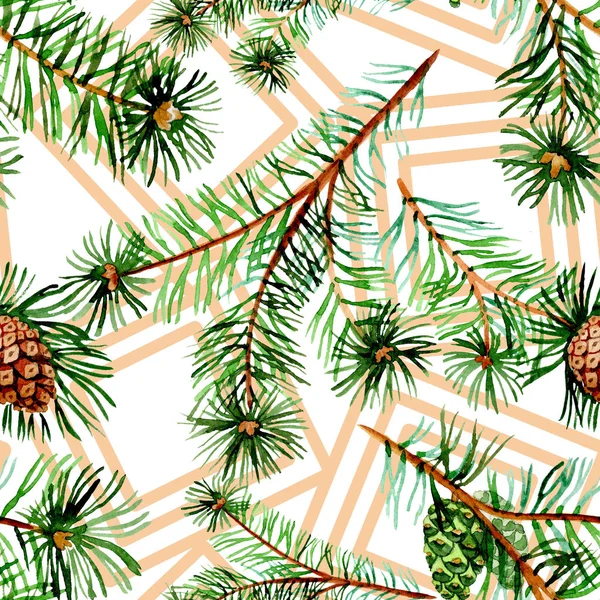 스프루즈와 소나무의 가지. 수채화 배경 일러스트 세트입니다. 원활한 배경 패턴. — 스톡 사진