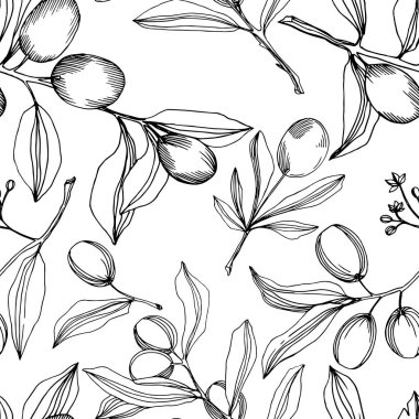 Meyve ile Vektör Zeytin dalı. Siyah ve beyaz oyulmuş mürekkep sanatı. Kesintisiz arka plan deseni.