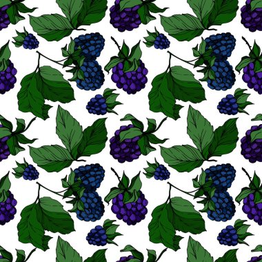 Vektör Blackberry sağlıklı gıda. Siyah ve beyaz oyulmuş mürekkep sanatı. Kesintisiz arka plan deseni.