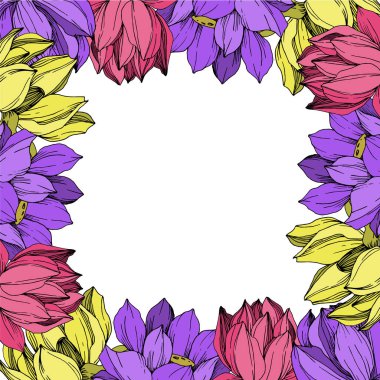 Vektör Lotus çiçek botanik çiçek. Siyah ve beyaz oyulmuş mürekkep sanatı. Çerçeve kenarlık süs karesi.