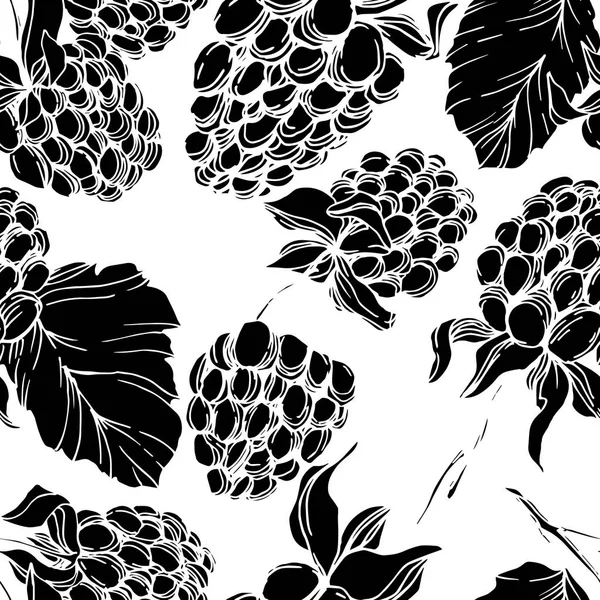 Vector Blackberry comida saludable. Tinta grabada en blanco y negro. Patrón de fondo sin costuras . — Vector de stock