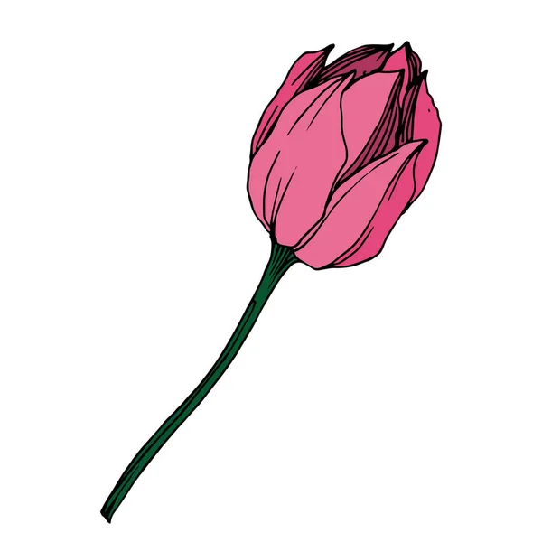 Vektor Lotus Blumen botanische Blume. Schwarz-weiß gestochene Tuschekunst. isoliertes Lotus-Illustrationselement. — Stockvektor