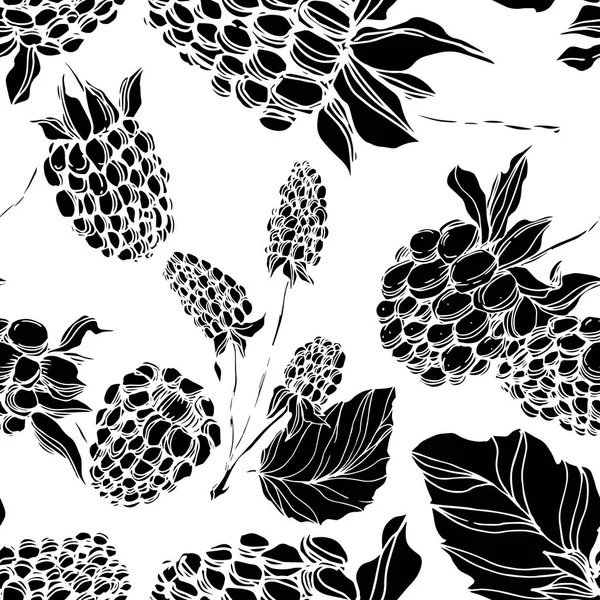 Vector Blackberry comida saludable. Tinta grabada en blanco y negro. Patrón de fondo sin costuras . — Vector de stock