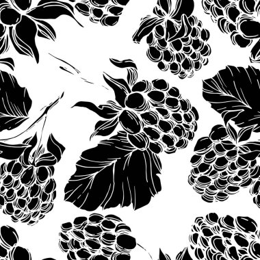Vektör Blackberry sağlıklı gıda. Siyah ve beyaz oyulmuş mürekkep sanatı. Kesintisiz arka plan deseni.