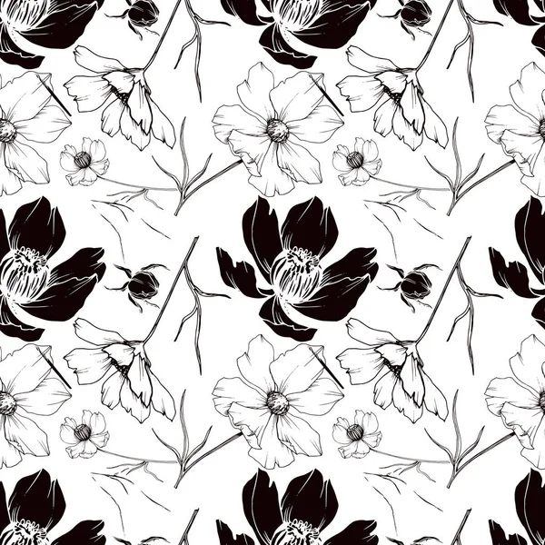 Vector Cosmos flores botánicas florales. Tinta grabada en blanco y negro. Patrón de fondo sin costuras . — Vector de stock