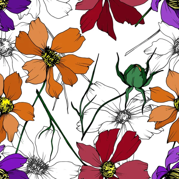 Vector Cosmos flores botánicas florales. Tinta grabada en blanco y negro. Patrón de fondo sin costuras . — Archivo Imágenes Vectoriales