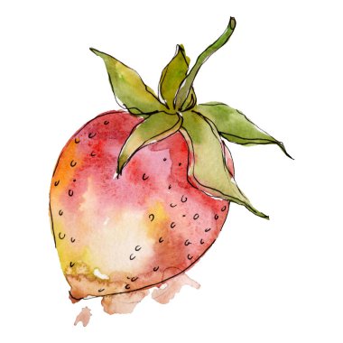 Çilek sağlıklı gıda suluboya tarzı izole. Suluboya arka plan seti. İzole berry illüstrasyon elemanı