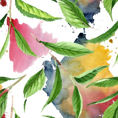 Yeşil çay yaprakları. Suluboya arka plan illüstrasyon seti. Kesintisiz arka plan deseni.