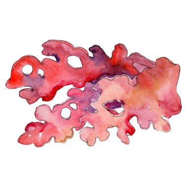 Kırmızı su altı doğa mercan resifi. Suluboya arka plan seti. İzole mercan illüstrasyon elemanı