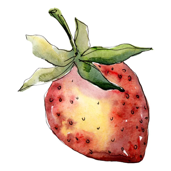 Aardbei gezond voedsel in een aquarel stijl geïsoleerd. Aquarel achtergrond set. Geïsoleerde Berry illustratie element — Stockfoto