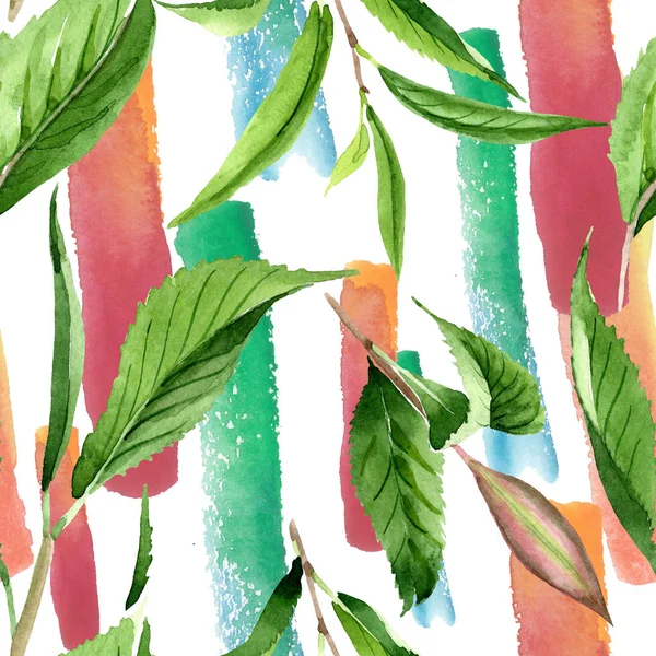 Зелене листя чаю. Набір ілюстрацій для акварельного фону. Безшовний візерунок тла . — стокове фото