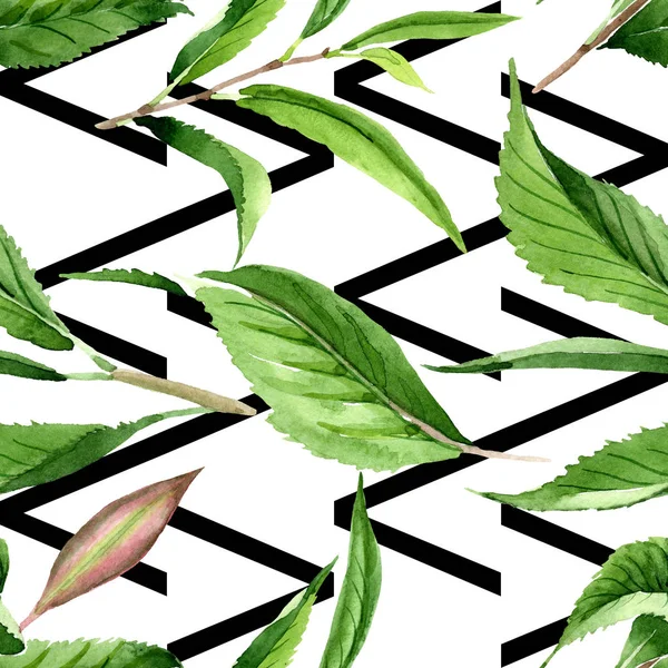 Hojas de té verde. Conjunto de ilustración de fondo acuarela. Patrón de fondo sin costuras . — Foto de Stock