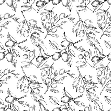 Meyve ile Vektör Zeytin dalı. Siyah ve beyaz oyulmuş mürekkep sanatı. Kesintisiz arka plan deseni.