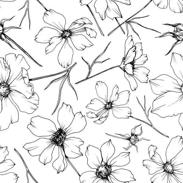 Вектор Космос цветочные ботанические цветы. Черно-белый рисунок чернил. Бесшовный рисунок фона
.