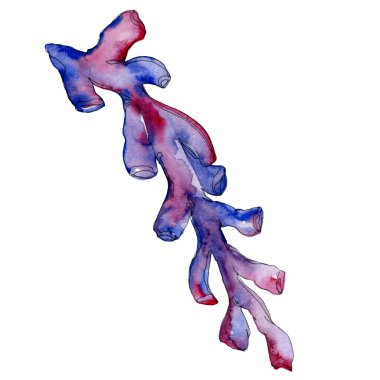 Mor su sualtı doğa mercan kayalığı. Suluboya arka plan ayarlamak. Mercan illüstrasyon izole öğesi.