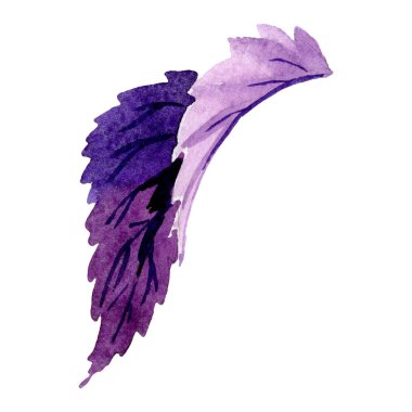 Begonya yaprağı çiçek botanik çiçek. Suluboya arka plan illüstrasyon seti. İzole begonya illüstrasyon elemanı.