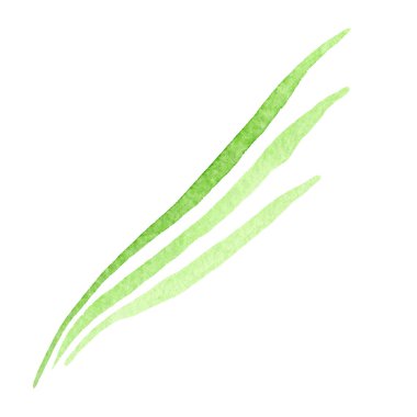 Yeşil çiçek botanik çiçekler bırakır. Suluboya arka plan illüstrasyon seti. Yalıtılmış yaprak illüstrasyon elemanı.