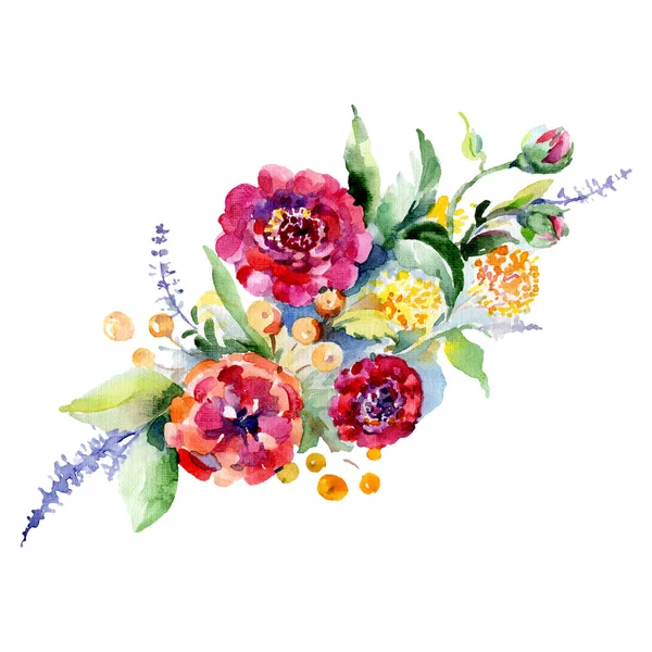 Ramo de flores botánicas florales. Conjunto de fondo acuarela. Ramos aislados elemento de ilustración . — Foto de Stock