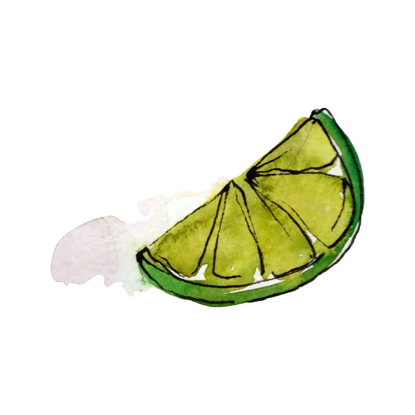 Tasty lime slice in a watercolor style. Background illustration set. Watercolour drawing fashion aquarelle isolated. — Stock Photo, Image