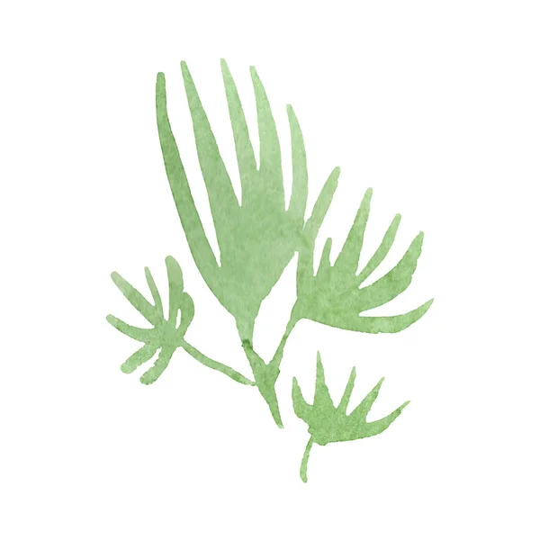 Hojas verdes flores botánicas florales. Conjunto de ilustración de fondo acuarela. Elemento de ilustración de hojas aisladas . — Foto de Stock