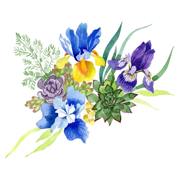 Buquê flores botânicas florais. Conjunto de ilustração de fundo aquarela. Isolados buquês elemento ilustrativo . — Fotografia de Stock