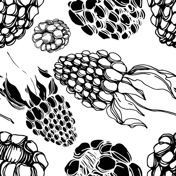 Vector Blackberry comida saludable. Tinta grabada en blanco y negro. Patrón de fondo sin costuras . — Vector de stock
