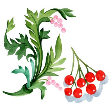 Kış süs elemanları. Suluboya arka plan illüstrasyon seti. İzole süs illüstrasyon elemanı.