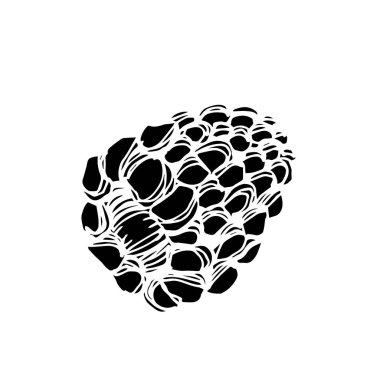 Vektör Blackberry sağlıklı gıda. Siyah ve beyaz oyulmuş mürekkep sanatı. İzole berry illüstrasyon elemanı.