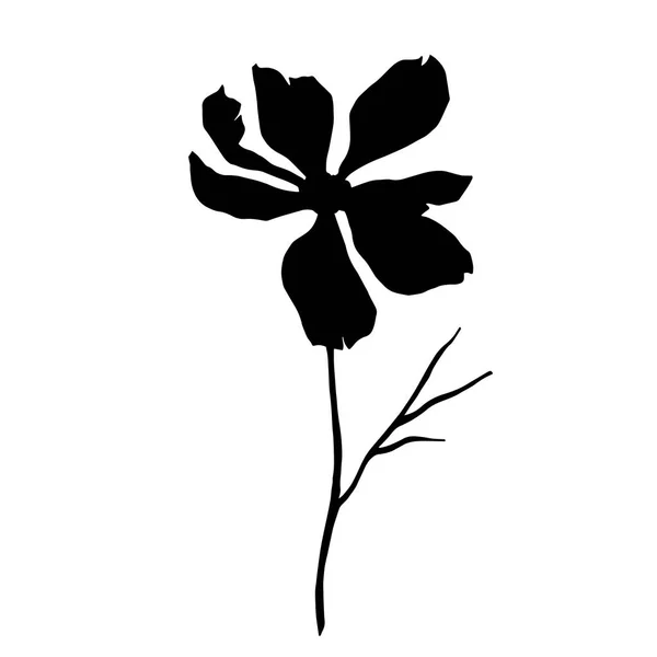 Вектор Космос цветочные ботанические цветы. Черно-белый рисунок чернил. Изолированный элемент иллюстрации космоса . — стоковый вектор