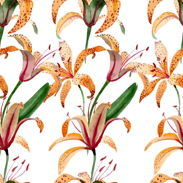 Laranja lilium maculantum flores botânicas florais. Conjunto de ilustrações aquarela. Padrão de fundo sem costura . — Fotografia de Stock