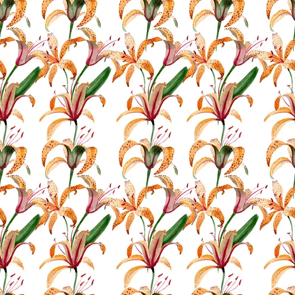 Oranje Lilium maculantum Floral botanische bloemen. Aquarel illustratie set. Naadloos achtergrond patroon. — Stockfoto