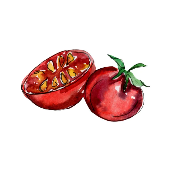Tomate vermelho em um estilo aquarela isolado. Alimentos Aquarelle para fundo, textura, padrão de invólucro ou menu . — Fotografia de Stock