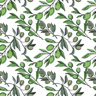 Meyve ile Vektör Zeytin dalı. Siyah ve beyaz oyulmuş mürekkep sanatı. Kesintisiz arka plan deseni.