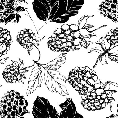 Vektör Blackberry sağlıklı gıda. Siyah ve beyaz oyulmuş mürekkep sanatı. Kesintisiz arka plan deseni.