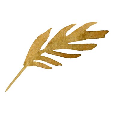 Turuncu çiçek botanik çiçekler bırakır. Suluboya arka plan seti. Yalıtılmış yaprak illüstrasyon elemanı.