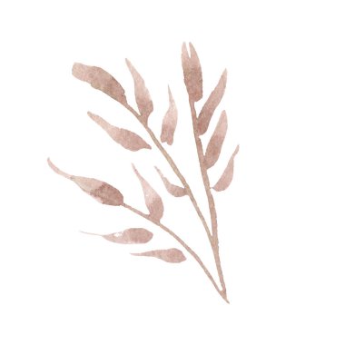 Turuncu çiçek botanik çiçekler bırakır. Suluboya arka plan seti. Yalıtılmış yaprak illüstrasyon elemanı.