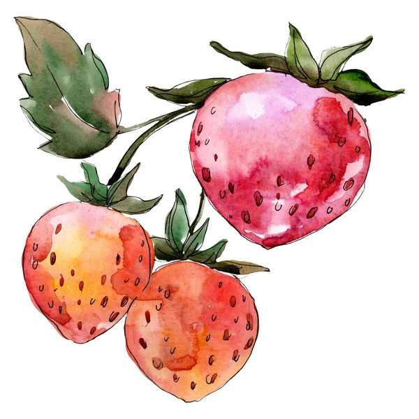 Erdbeere gesunde Ernährung. Aquarell Hintergrundillustration Set. isolierte Beerenillustration Element. — Stockfoto