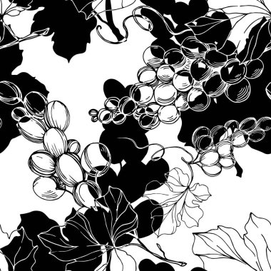 Üzümlü sağlıklı yemek. Siyah beyaz işlemeli mürekkep sanatı. Kusursuz arkaplan deseni.