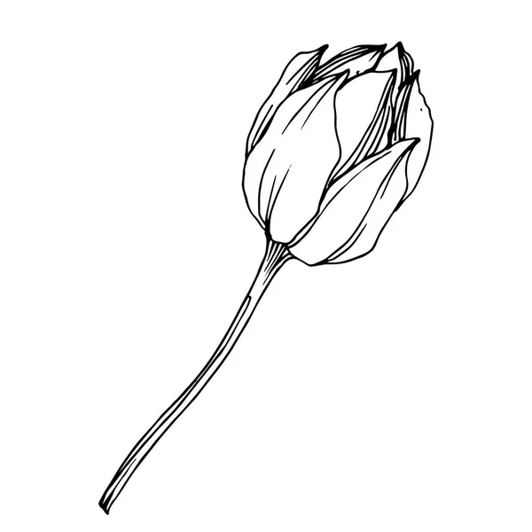 ベクトルロータス花植物の花。黒と白の彫刻インクアート。孤立した蓮のイラスト要素. — ストックベクタ