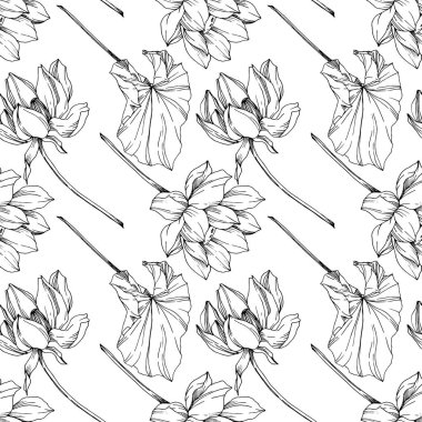 Vektör Lotus çiçek botanik çiçek. Siyah ve beyaz oyulmuş mürekkep sanatı. Kesintisiz arka plan deseni.