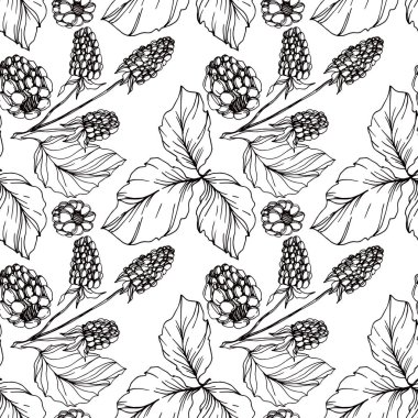 Vektör Blackberry sağlıklı gıda. Siyah ve beyaz oyulmuş mürekkep sanatı. Kesintisiz arka plan deseni.