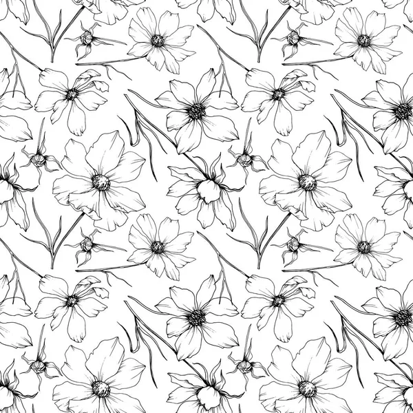 Vector Cosmos flores botánicas florales. Tinta grabada en blanco y negro. Patrón de fondo sin costuras . — Vector de stock